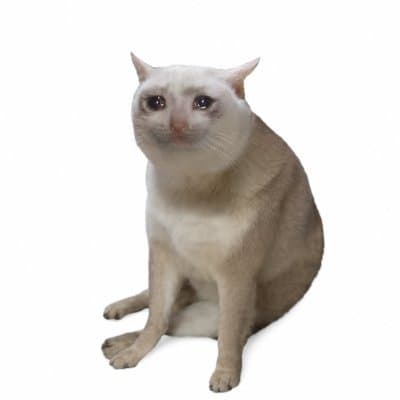 Just A Cat